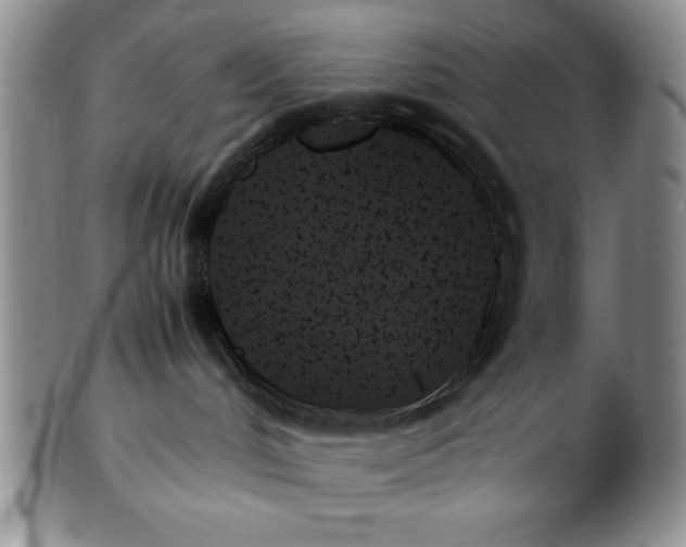 X0000102260048200808221425