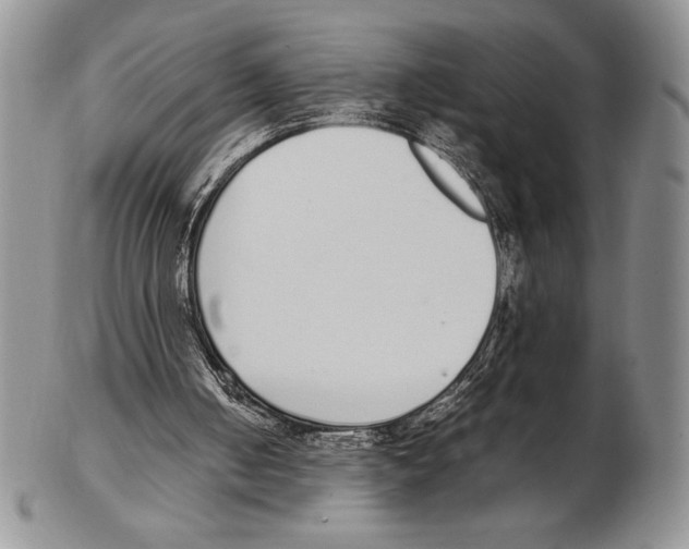 X0000102260050200808221424