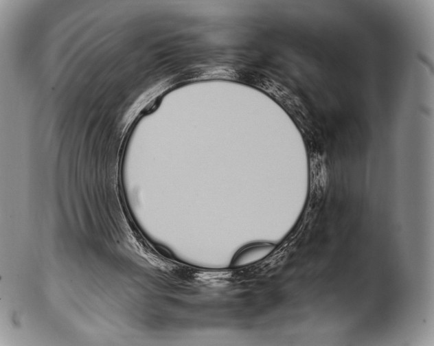 X0000102260051200808221424