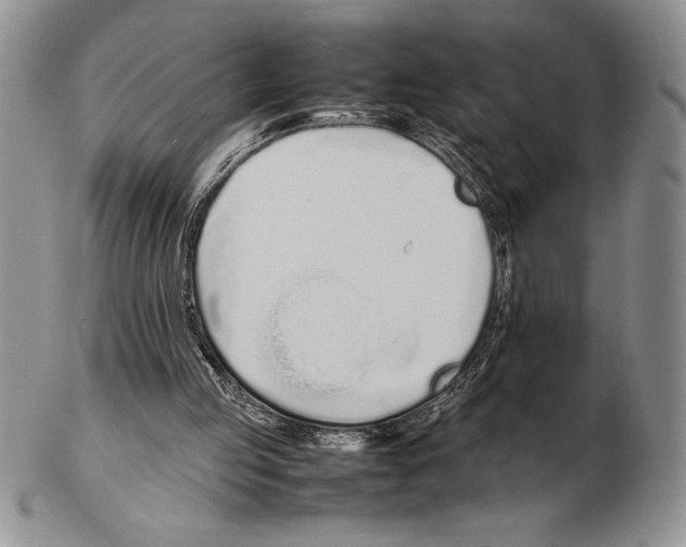 X0000102260053200808221424