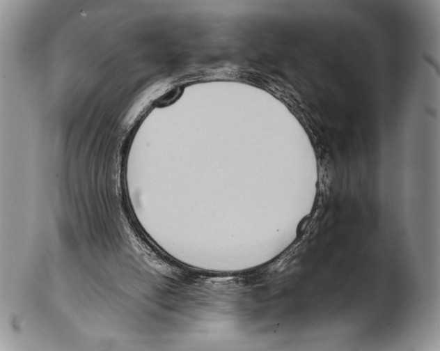 X0000102260054200808221424