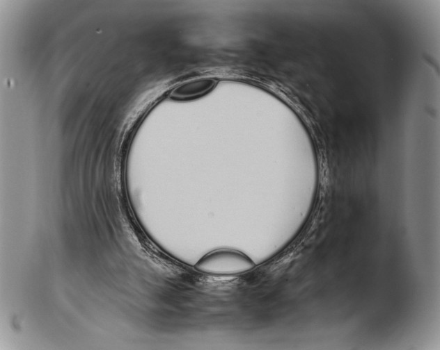 X0000102260055200808221424