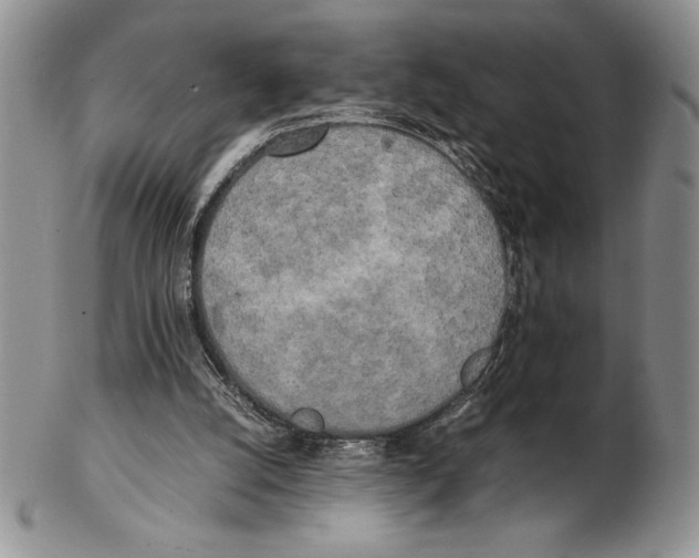 X0000102260056200808221424