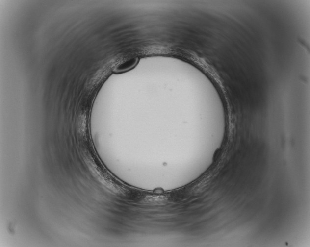 X0000102260057200808221424