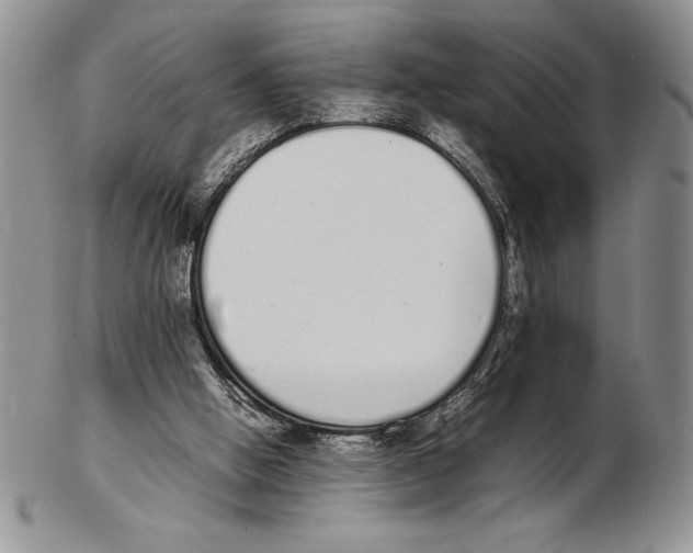 X0000102260058200808221424