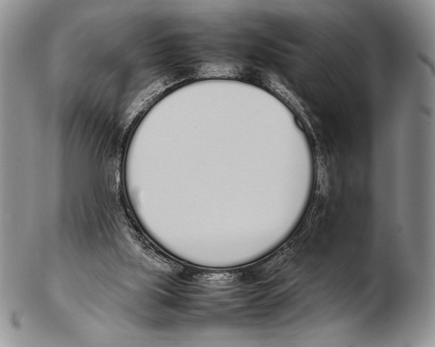 X0000102260059200808221424