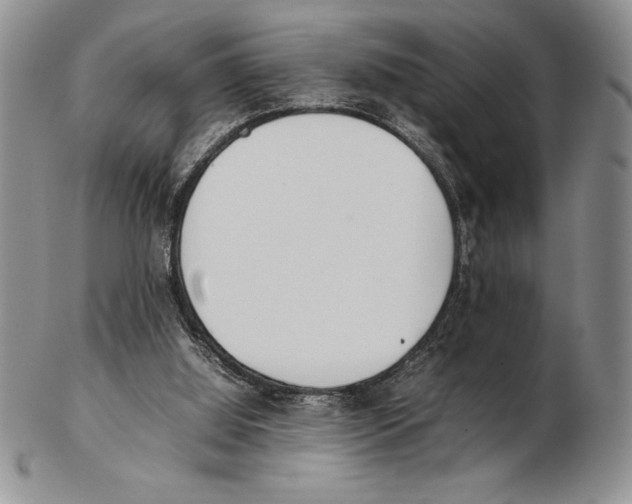 X0000102260060200808221424