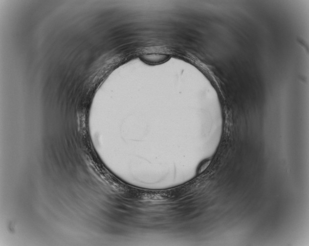 X0000102260061200808221424