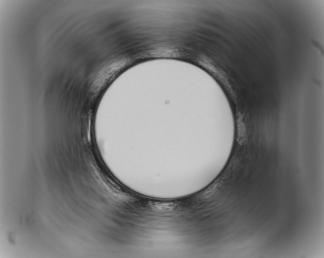 X0000102260062200808221424