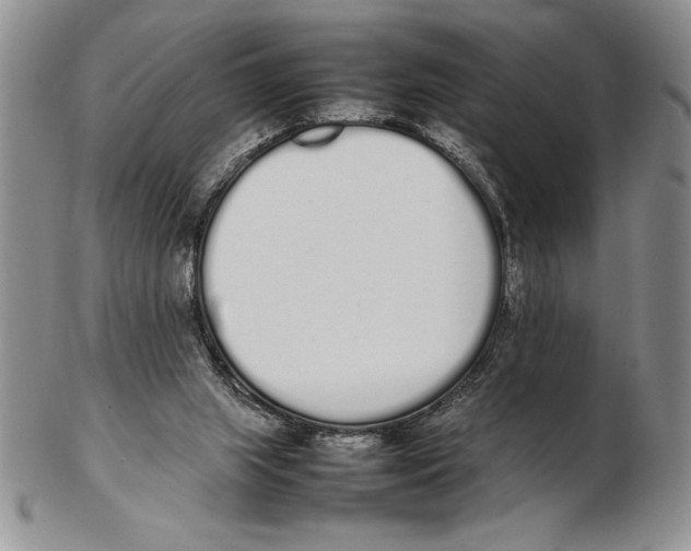 X0000102260063200808221424