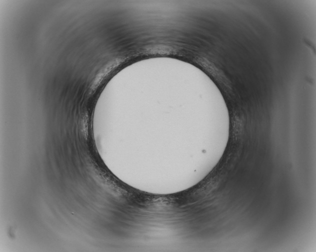 X0000102260064200808221425