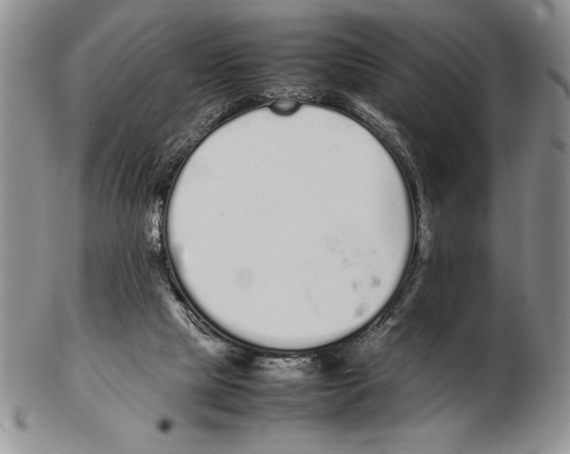 X0000102260065200808221425