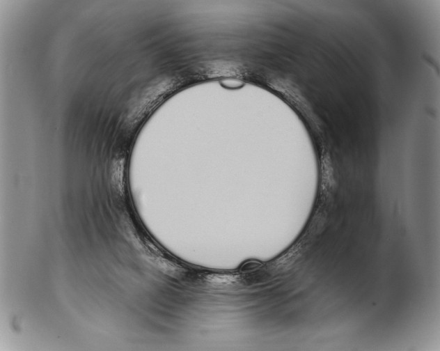 X0000102260066200808221425