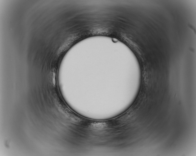 X0000102260067200808221425
