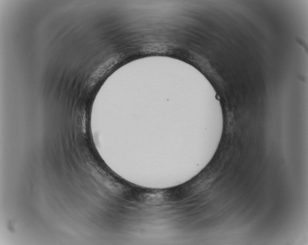 X0000102260068200808221425