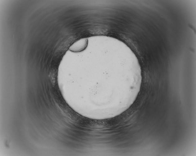 X0000102260069200808221425