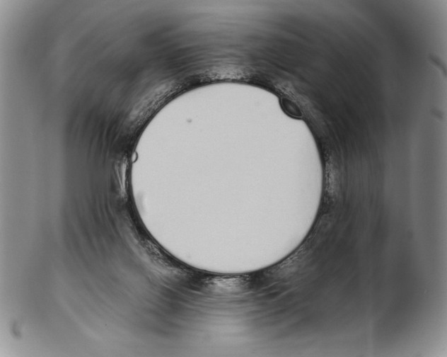 X0000102260070200808221425
