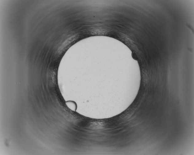 X0000102260071200808221425