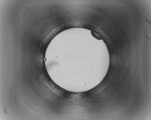 X0000102260072200808221425