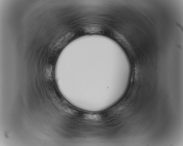 X0000102260073200808221425