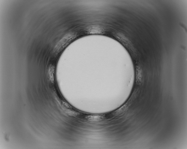 X0000102260074200808221425