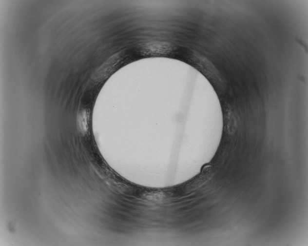 X0000102260075200808221425