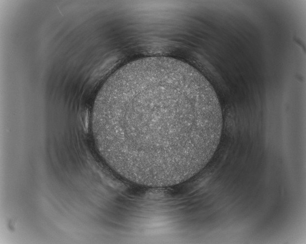 X0000102260076200808221425