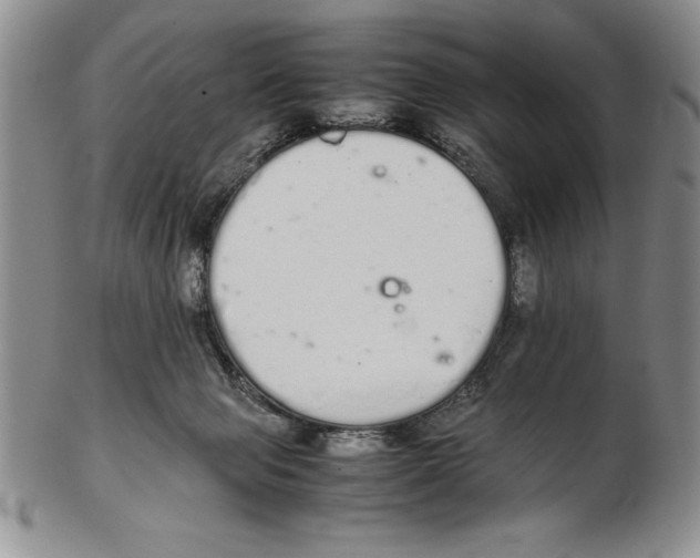 X0000102260077200808221425