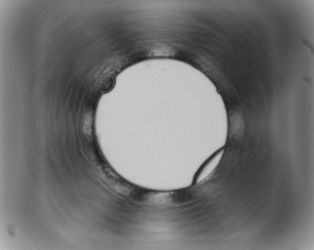 X0000102260078200808221425