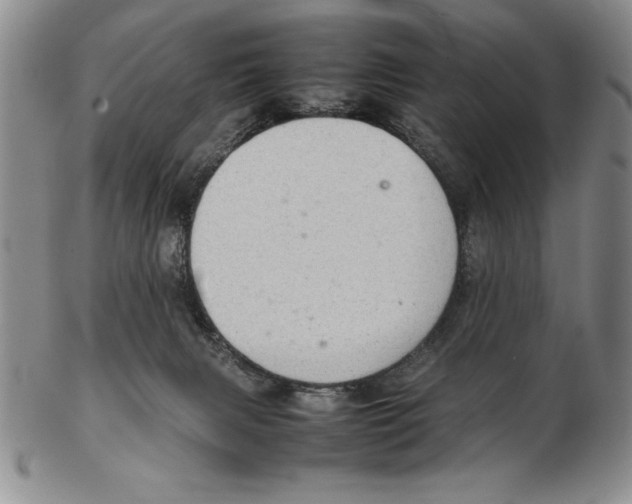 X0000102260079200808221425