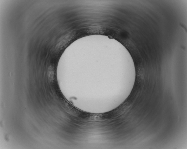 X0000102260080200808221425