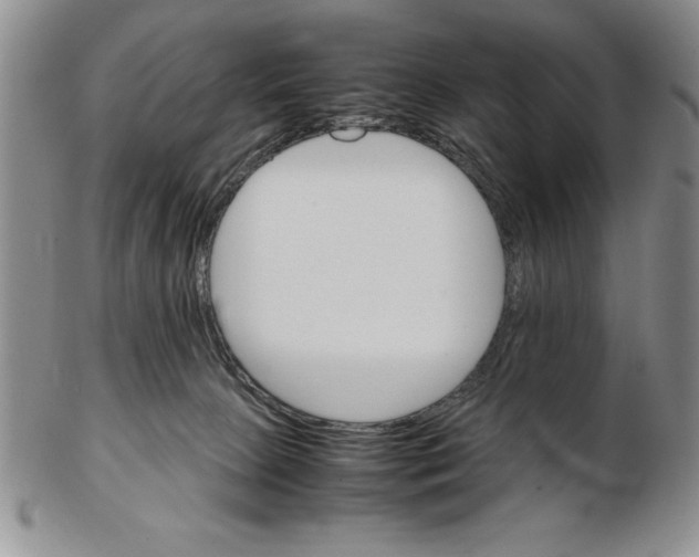 X0000102260081200808221425