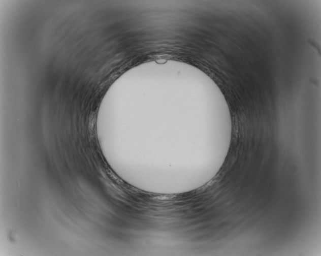 X0000102260082200808221425