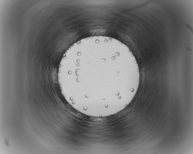 X0000102260083200808221425