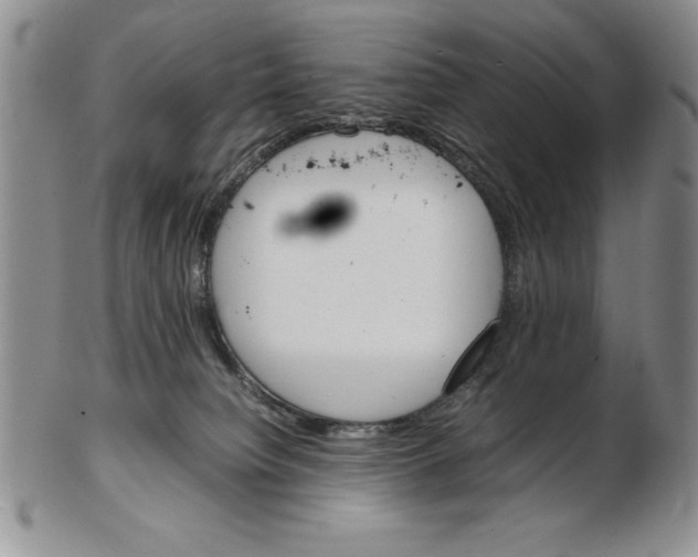 X0000102260084200808221425