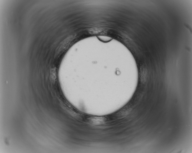 X0000102260085200808221425
