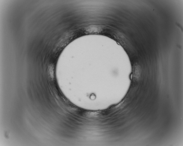 X0000102260086200808221425