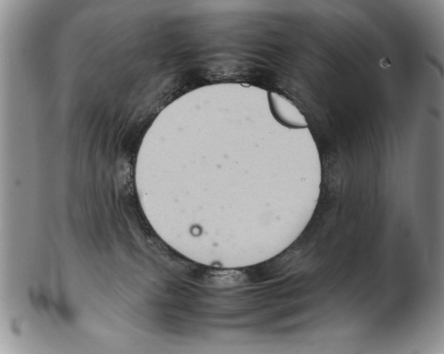 X0000102260087200808221425