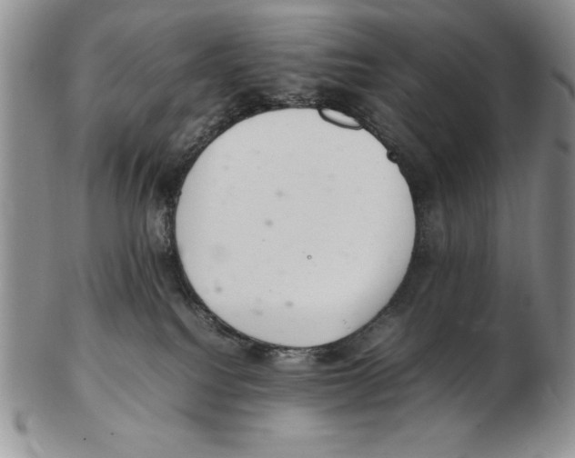 X0000102260088200808221425