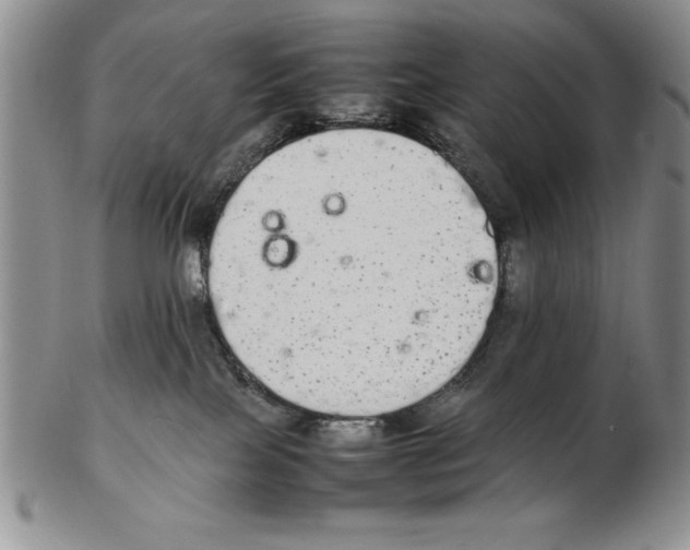X0000102260089200808221425