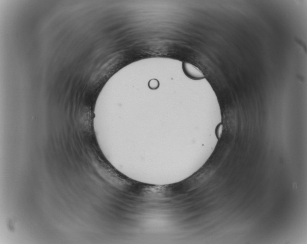 X0000102260092200808221425