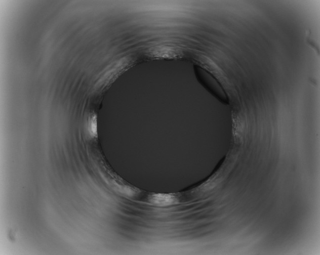 X0000102260095200808221425