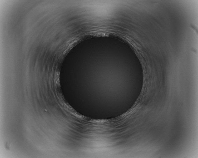 X0000102260096200808221425