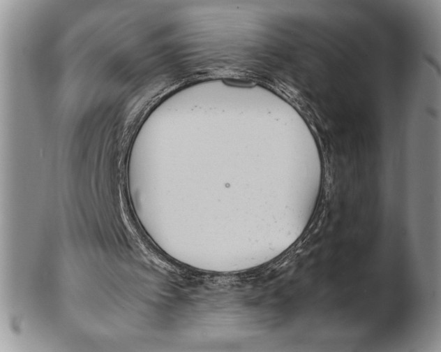 X0000102260097200808221424