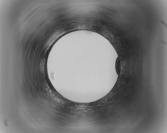 X0000102260098200808221424