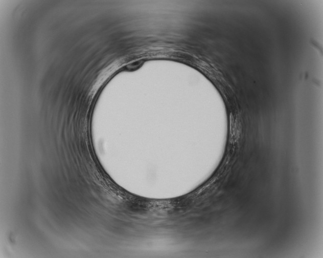 X0000102260099200808221424