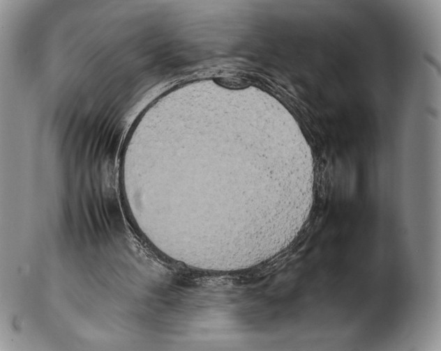 X0000102260100200808221424