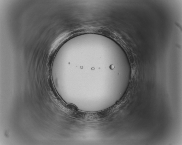 X0000102260101200808221424