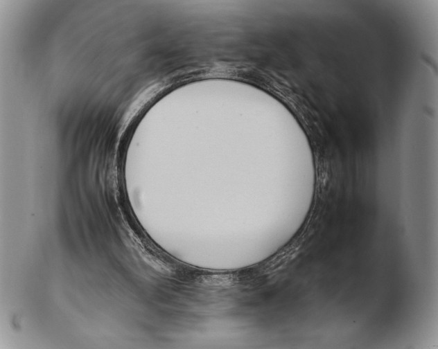 X0000102260102200808221424