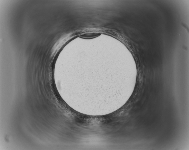 X0000102260103200808221424